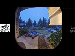 Смех ДО СЛЕЗ 30 Минут смеха 2025 Смешные видео Лучшие Отборные ПРИКОЛЫ #12