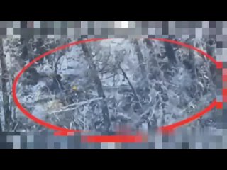 💀🔥 ВС РФ ликвидировали группу оккупантов в Курской области    Бойцы группировки войск "Север" во время штурма Старой... (видео)