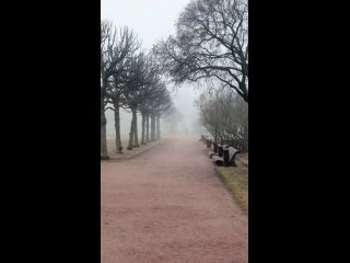 Туманный Петербург  Видео: eduard_gordeev_ (видео)