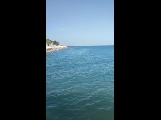Здравствуйте. Подскажите, когда будет ходить теплоход? Теплоход вчера пришёл на причал, но ещё не курсирует. Морская... (видео)