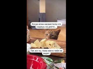 Мне кажется у каждой так было. Так ведь, девочки? 😀 (видео)