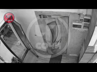 Два Стаффорда напали на пенсионерку прямо на пороге ее квартиры в Сочи  1 апреля в отдел полиции Хотинского района Сочи... (видео)