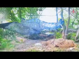 🔥 Хирургическая точность    Оператор FPV-дрона группировки войск «Север» уничтожил вражескую гаубицу M777... (видео)