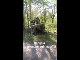 Украйонцев всё устраивает. Иначе бы они свргли власть, ведь они не рабы. Ну так же они нам говорили - Бог Хохлов