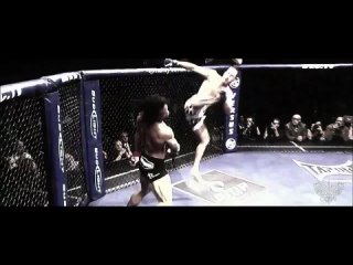 Ultimate Fighting Championship HL 2013, the most beautiful highlight of mixed marital arts!