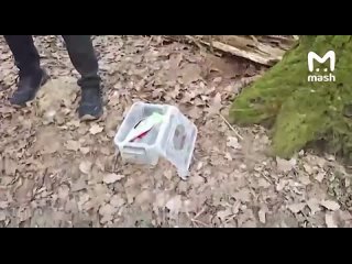 Против митрополита Симферопольского и Крымского Тихона готовился теракт. Который помогал осуществить помощник... (видео)