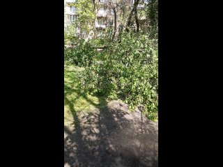 Главное  25 метра до садика, в субботу,  просто чп  чрезвычайного  масштаба - Степан Шубин