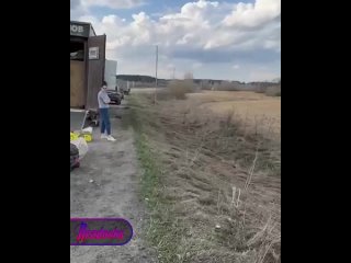 «Е***ь, слоны!» — в Пермском крае в поле вместо козочек паслись великаны саванны    Настоящие слоны решили позавтракать... (видео)