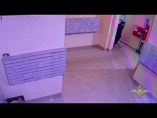 ❗ В Петербурге задержали супругов, расчленивших мужчину и спрятавших его тело в чемоданах    Супружеская пара,... (видео)