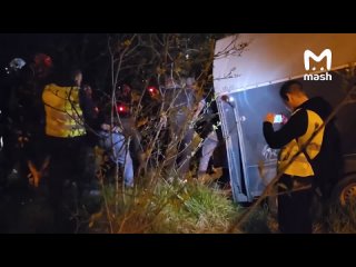 Лося, которого сбили в подмосковной Истре, СПАСЛИ! Его ввели в индуцированную кому, чтобы спокойно перетащить в... (видео)