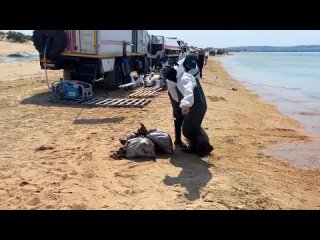 ☁️ Вчера в Анапе со дна моря подняли 128 мешков с мазутом  Это только за один день.  Специалисты МЧС России,... (видео)
