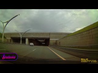 Волонтеры Петербурга 2 дня ищут сбежавшего в аэропорту Пулково джек-рассел-терьера — сегодня его заметили у ЗСД   ... (видео)