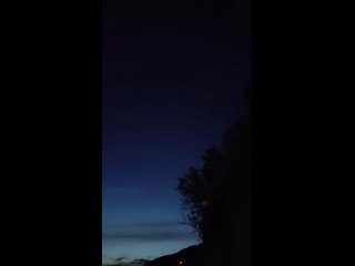 Как дышат дельфины — послушайте сами  Во время полного штиля на море случилось настоящее чудо: у самого берега... (видео)