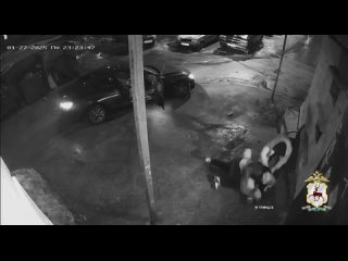 В Нижнем Новгороде двое хулиганов избили и похитили парня — полиция поймала дикарей  Нижегородский студент стал жертвой... (видео)