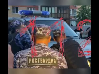 В Казани турок убил бывшую супругу на дне рождения их сына  34-летняя Елена Рябинина и 38-летний Мете Эцфел... (видео)
