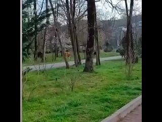 Пугают тех, кто в Сочи без году неделя - Андрей Северов