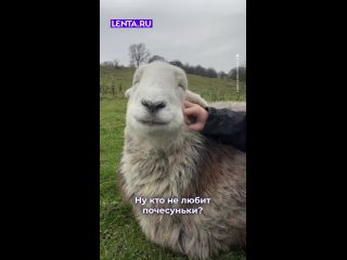 У нее в мыслях - скоро май, скоро шашлык..... - Евгений Собенин