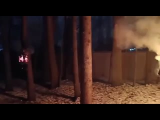 В Бирюлевском дендропарке неизвестный поджигает кормушки.   Пироман сжег несколько самодельных домиков для птиц.... (видео)