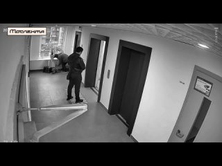 В Москве женщина бросила в подъезде у лифтов своих питомцев  Всё случилось в Измайловском проезде: хозяйка, по всей... (видео)