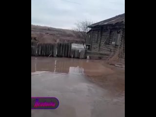 Жижа топит дома и затягивает поросят в Красноярском крае, где из-за талых вод поселок вязнет в болоте   Жители поселка... (видео)