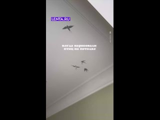 Так художник же не виноват, что кот тупой))) - Евгений Бахтин