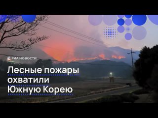 Тысячи гектаров леса сгорели в Южной Корее из-за масштабных пожаров, сообщает агентство Ренхап.  Огонь вспыхнул еще в... (видео)