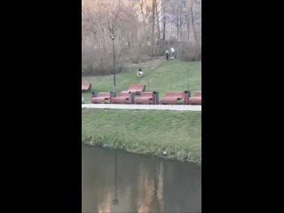 Родители московского школьника заплатят 100 000 рублей за то, что их сын катался на арендованном самокате.  Мальчик... (видео)