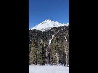 Поехали в новый день в горах Сочи!  🎥luchebu (видео)
