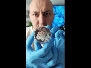 В жизненном цикле иксодовых клещей самка способна откладывать тысячи яиц за раз, а появившиеся личинки часто... (видео)