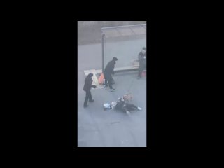 Хозяина собаки, покусавшей людей, отправили в спецприёмник  Кировский районный суд арестовал Дмитрия Михайлова на 15... (видео)