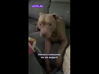 И почему мне не смешно?! - Людмила Немчинова