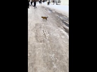 Раифский монастырь (видео)