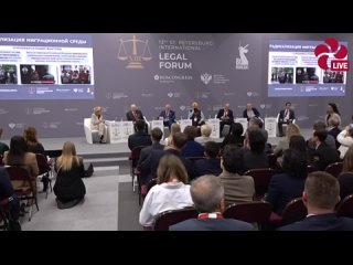 По итогам I квартала 2025 года мигрантская преступность выросла на 15% — глава Следкома РФ Бастрыкин на ПМЮФ   ... (видео)