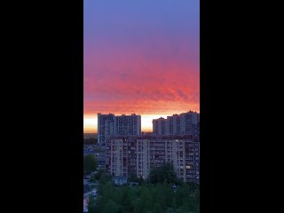 😍 Будто картину маслом написали. (видео)
