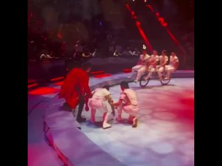 Во время выступления в Большом Московском цирке на проспекте Вернадского китайский акробат упал с велосипеда. На кадрах... (видео)