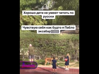 Против коуча Инны Тлиашиновой возбудили уголовное дело за уклонение от уплаты налогов на почти ₽500 млн    Против Инны... (видео)