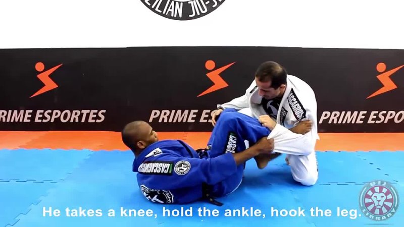 Terere Seminar 5 - Deep De la Riva Rollover Sweep