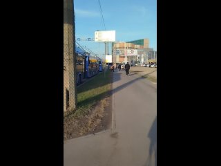 Это стадо как вы называете, в комфорте тысячи людей перевозят каждый день, нежные все стали, вышла и булки растрясла... - Доктор Пилюлькин