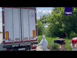 и вот ради 6к трупов в белых пакетах украинцы так скакали на майдане 11 лет назад и в 19 году выбрали зельку в... - Ксения Третьякова