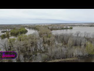 Потоп настиг Тюменскую область — уровень воды прибавил 50 см за сутки, люди строят земляные валы    За последние сутки... (видео)