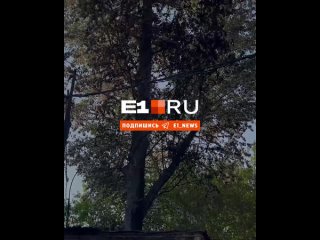 Эх, Николай, Николай🔥    Перед вами тот самый пироман, который накануне спалил целую автостоянку на улице Кондратьева.... (видео)