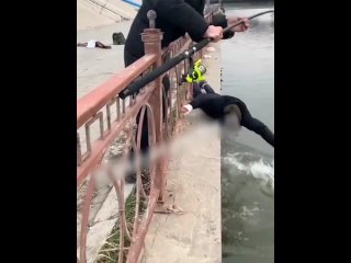 Обалдеть , вот это существо, действительно странное . На рыбу похоже 🤣🤣 - Бываю Хорошей