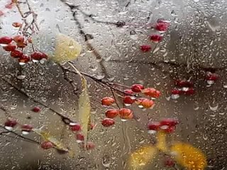 НЕ-ВОЗВРАЩАЙСЯ-проникновенная-авторская-песня-ЛЮДМ.mp4