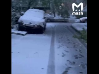 Москву и область накрыл снегопадище. В Лобне упавшие деревья оборвали провода, люди сидят без связи и ТВ. В десятках... (видео)