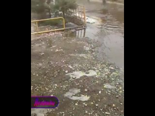 В Иркутской области из-за паводков людей эвакуируют из затопленных домов, а в Бурятии жители села заблокированы из-за... (видео)