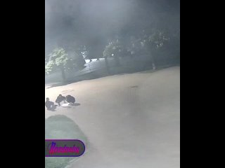 Мигранты избили туриста из Брянска в Севастополе — один нападавший получил 3,5 года колонии, а другой свинтил на родину... (видео)