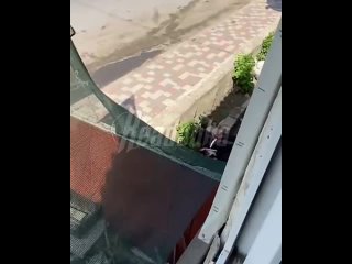 Между полицейским и одним из боевиков в Махачкале завязался ожесточенный ножевой бой. Осторожно жесткие кадры 18+   ... (видео)