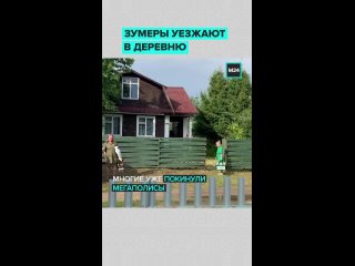 Устали от городского шума и переехали в деревню 🌿    Всё больше зуммеров меняют мегаполисы на тишину и природу. После... (видео)