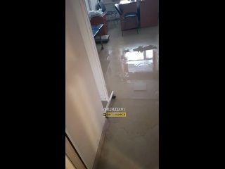 Пишет наша подписчица:  "Всем доброе утро! Пришли сегодня в детскую поликлинику на приём по адресу Доватора, 13. Ужас,... (видео)