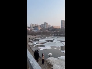 Ума нет, считай водолаз - Ваня Гончаренко